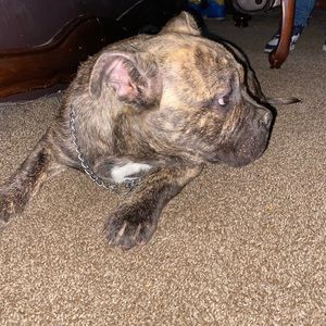 Meet your Posher, Jaylon